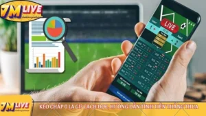 Kèo chấp 0 là gì? Cách đọc, hướng dẫn tính tiền thắng thua 12 Kèo chấp 0 là gì