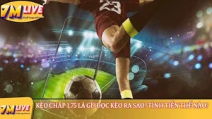Kèo chấp 1.75 là gì? Đọc kèo ra sao? Tính tiền thế nào? 10 kèo chấp 1.75 là gì