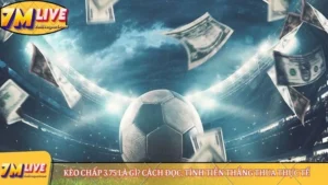 Kèo chấp 3.75 là gì? Cách đọc, tính tiền thắng thua thực tế 13 Kèo chấp 3.75 là gì