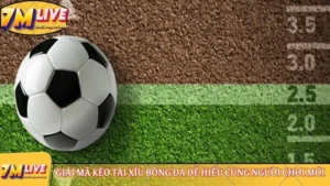 Giải mã kèo tài xỉu bóng đá dễ hiểu cùng người chơi mới 9 Kèo tài xỉu