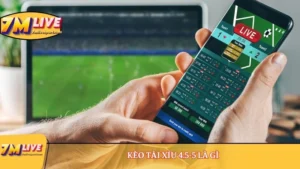 Kèo Tài Xỉu 4.5-5 là gì? Khám phá 3 thông tin cần biết về kèo 8 Kèo Tài Xỉu 4.5-5 là gì