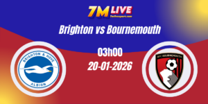 Nhận định Ngoại hạng Anh Brighton vs Bournemouth 20/01/2026 8 Nhận định Ngoại hạng Anh Brighton vs Bournemouth 20/01/2026