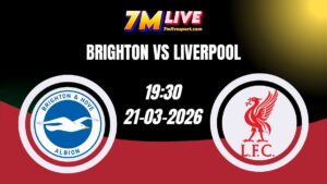 Nhận định Brighton vs Liverpool 19h30 Ngày 21/03/2026 15 Nhận định Brighton vs Liverpool 19h30 Ngày 21/03/2026
